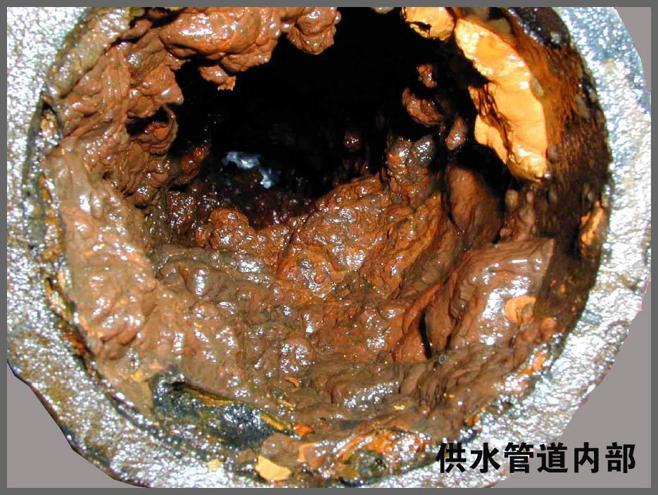 batway必威淨水機.jpg